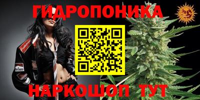 соль курить ск Новозыбков