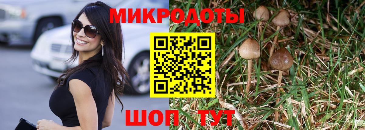 Галлюциногенные грибы MAGIC MUSHROOMS Шали